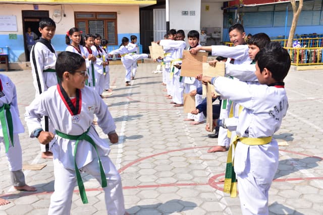 Taekwondo Belt
